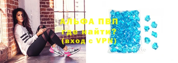 прущая мука Пересвет